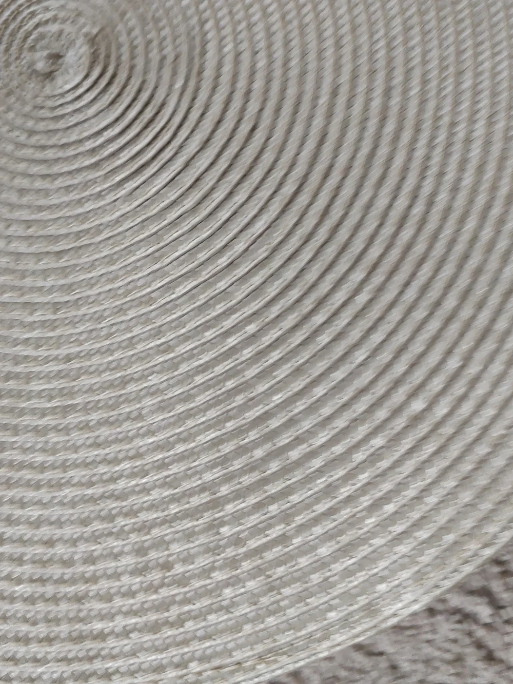 Robert Stanley Hobby Lobby 5 Beige Round Woven Placemat